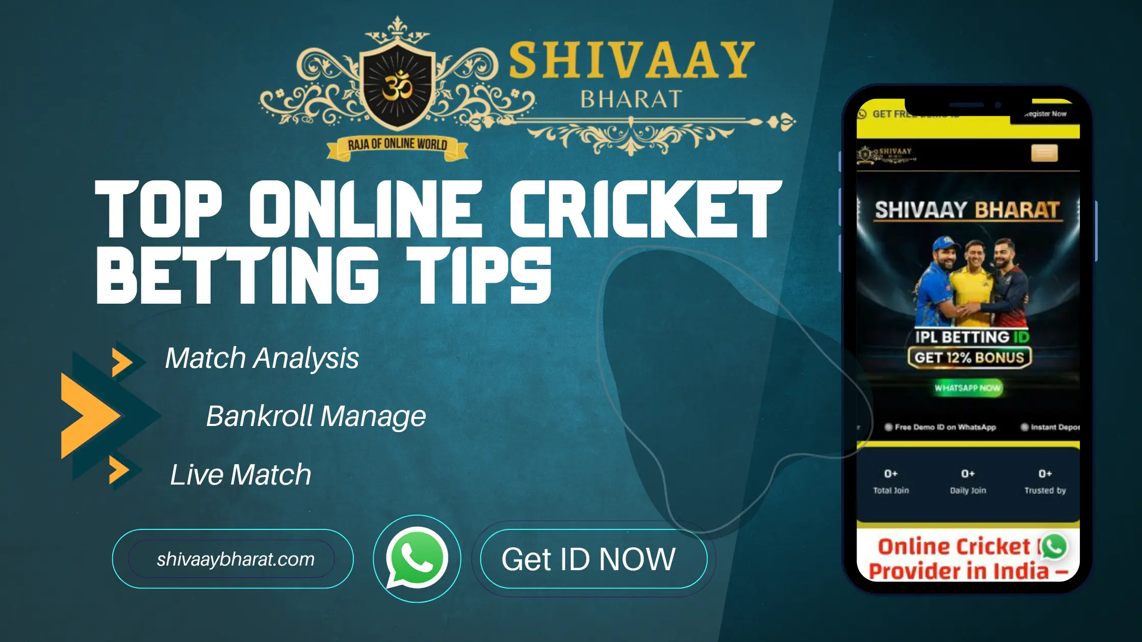 online cricket betting tips 2026